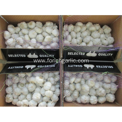 Top Quality Crop 2020 Pure Garlic